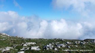 nte Scuderi-23-11-2014 09-49-29